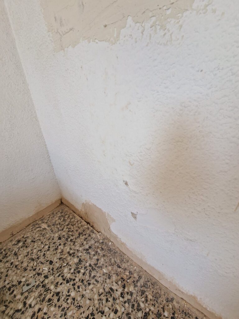 Quitar gotelé Zuera